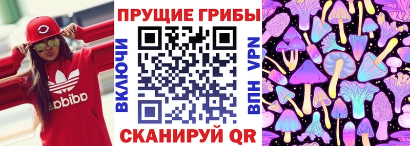 Псилоцибиновые грибы GOLDEN TEACHER  Купить где  Фролово 